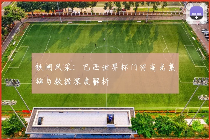 铁闸风采：巴西世界杯门将高光集锦与数据深度解析