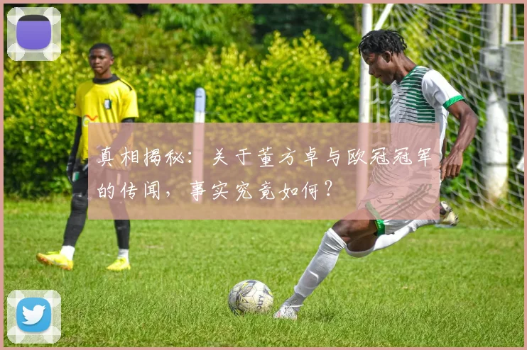 真相揭秘：关于董方卓与欧冠冠军的传闻，事实究竟如何？